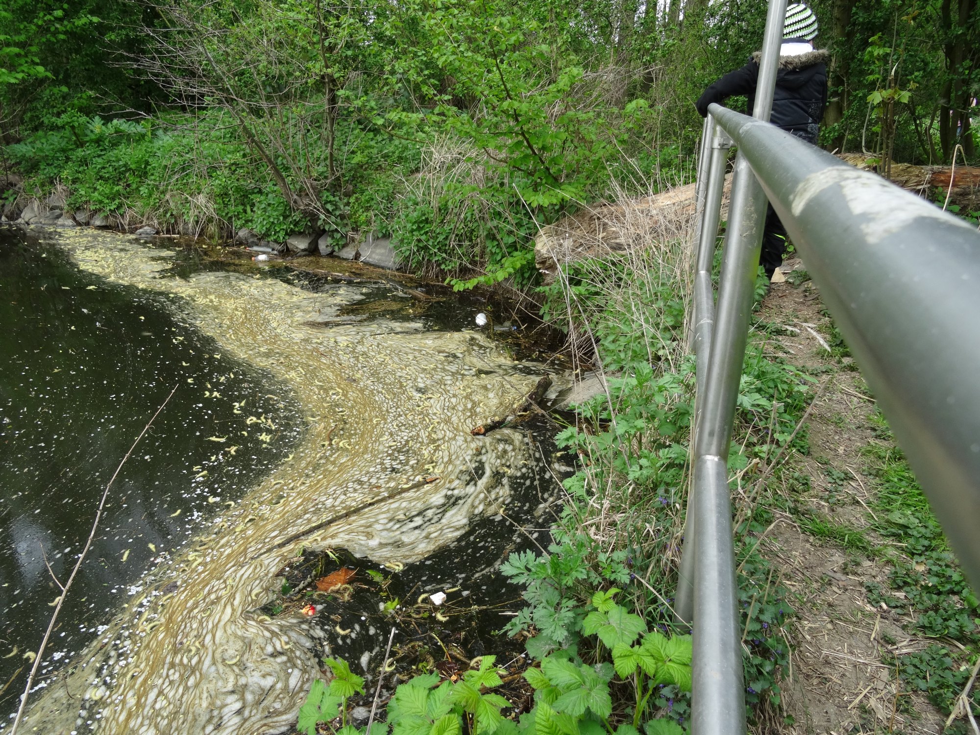 Zoom /zurueck = Klick ins Bild