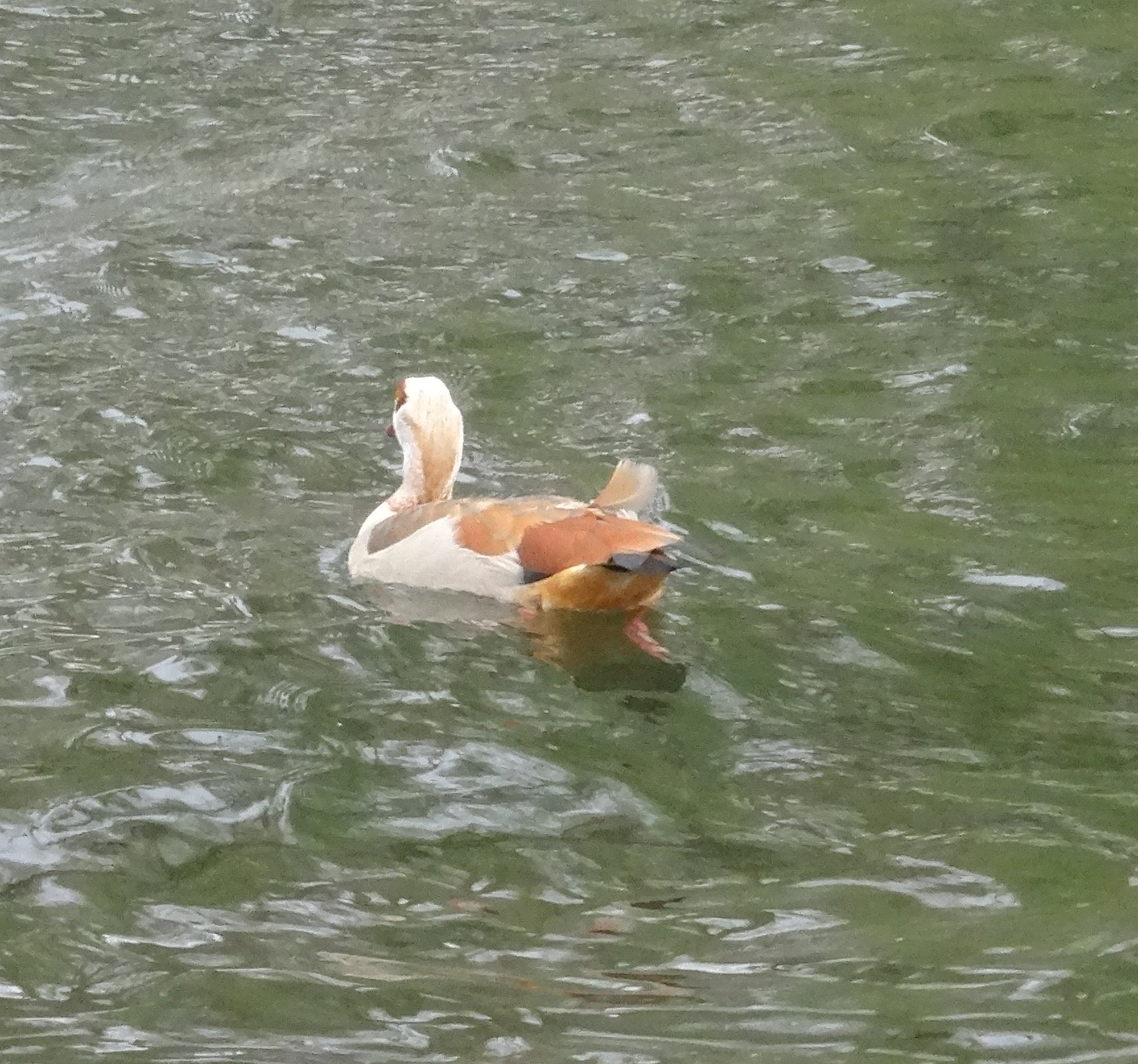 Zoom /zurueck = Klick ins Bild