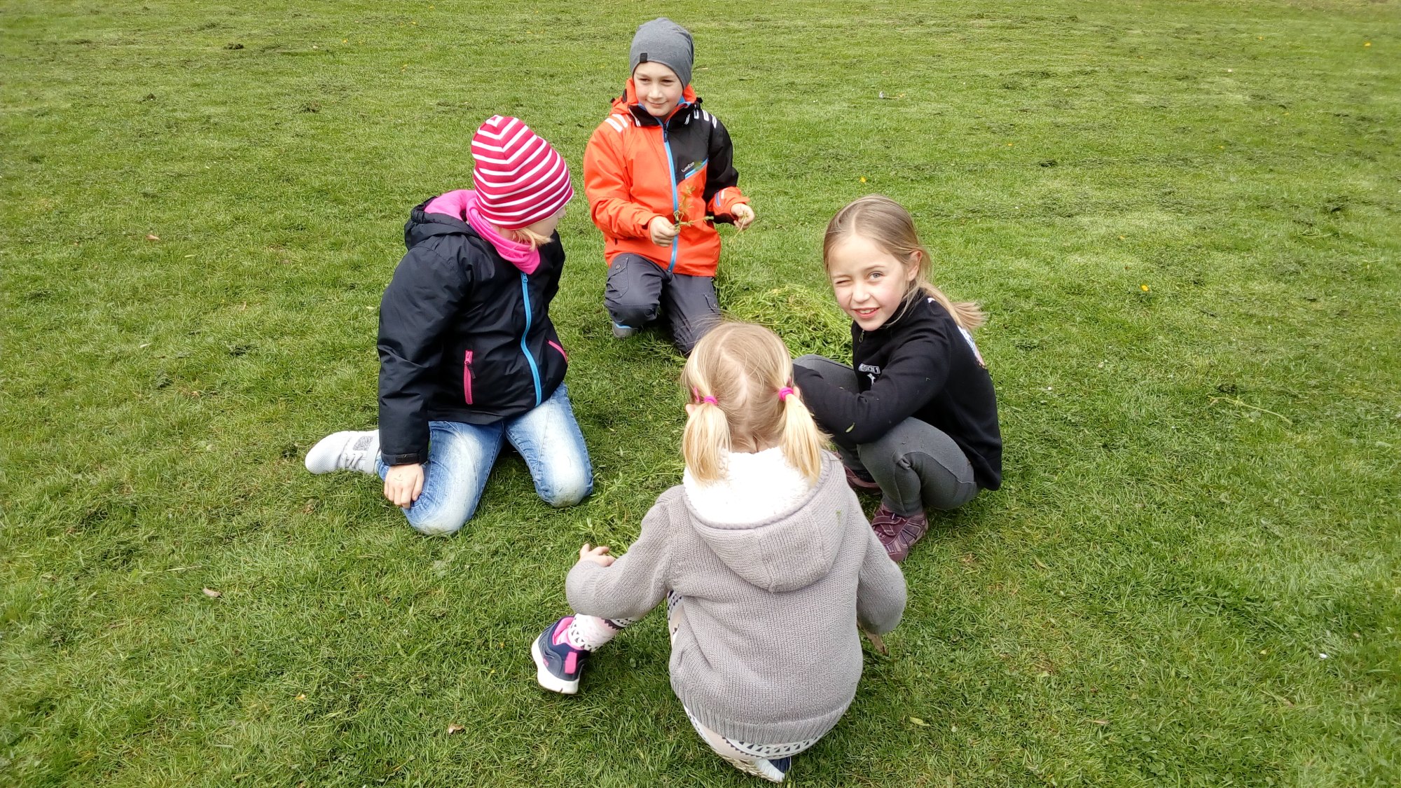 Zoom /zurueck = Klick ins Bild